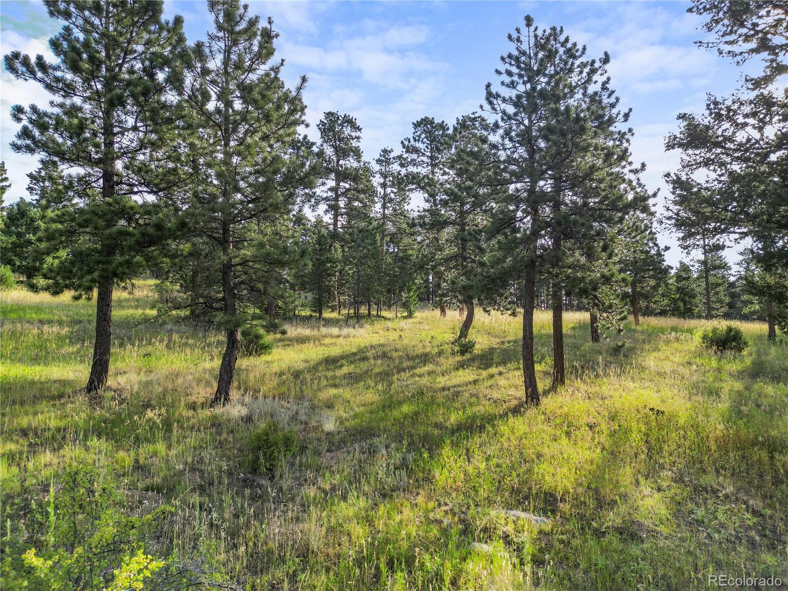 26541 Richmond Hill Road