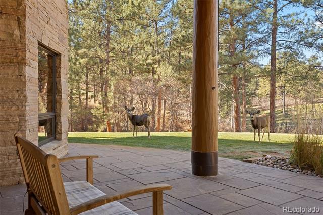 6833 Yampa Drive