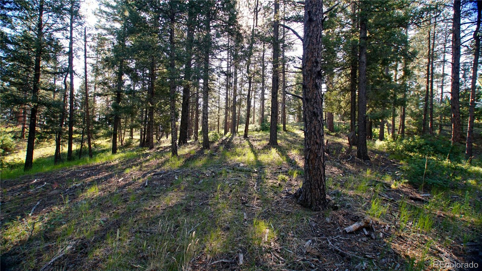 104 N County Highway 67