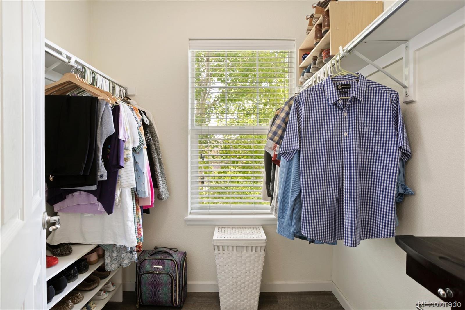 3677 Tranquility Trail