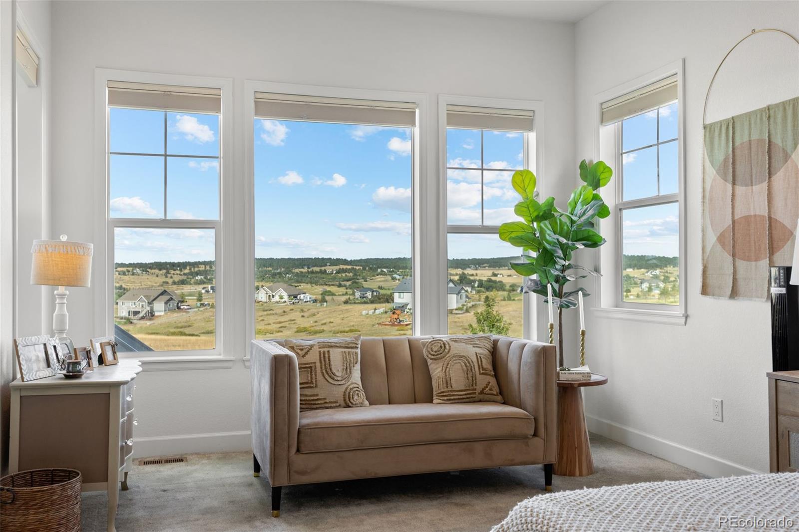 9141 Red Primrose Street