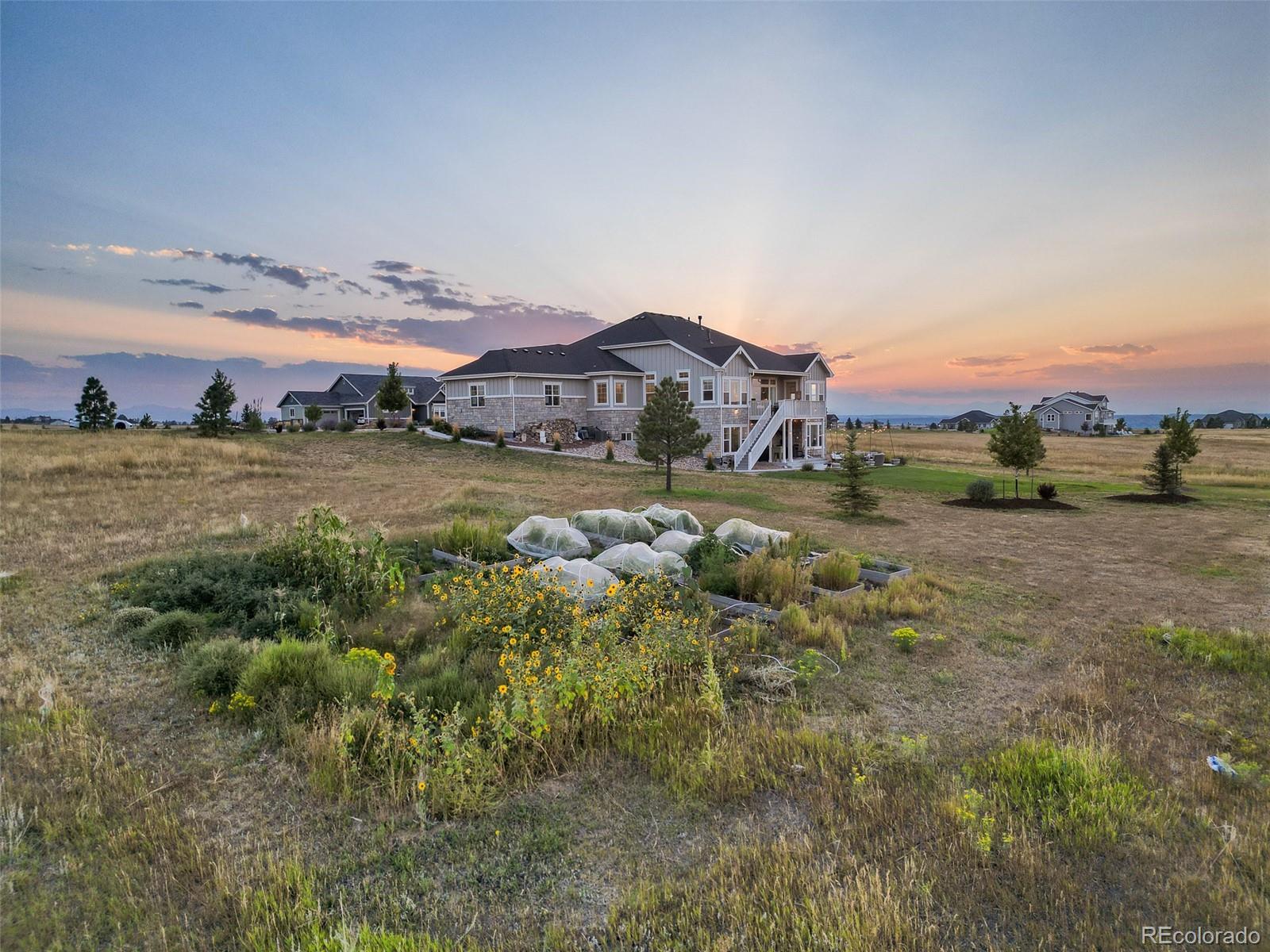9141 Red Primrose Street
