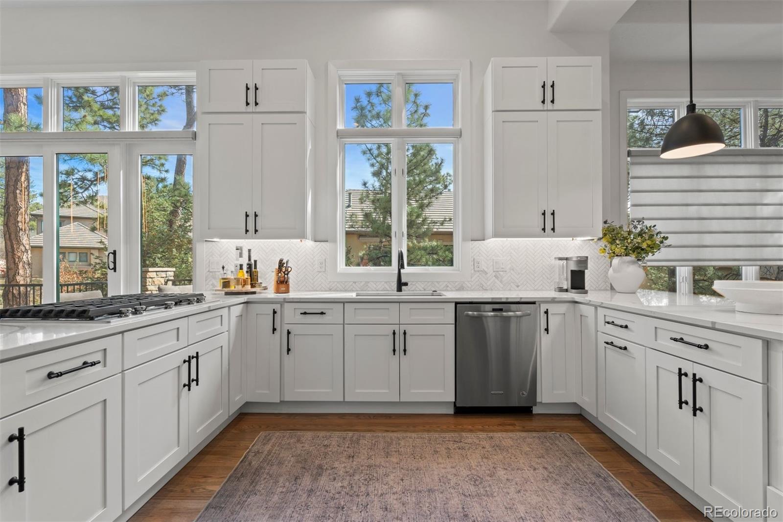 4517 Silver Cliff Court