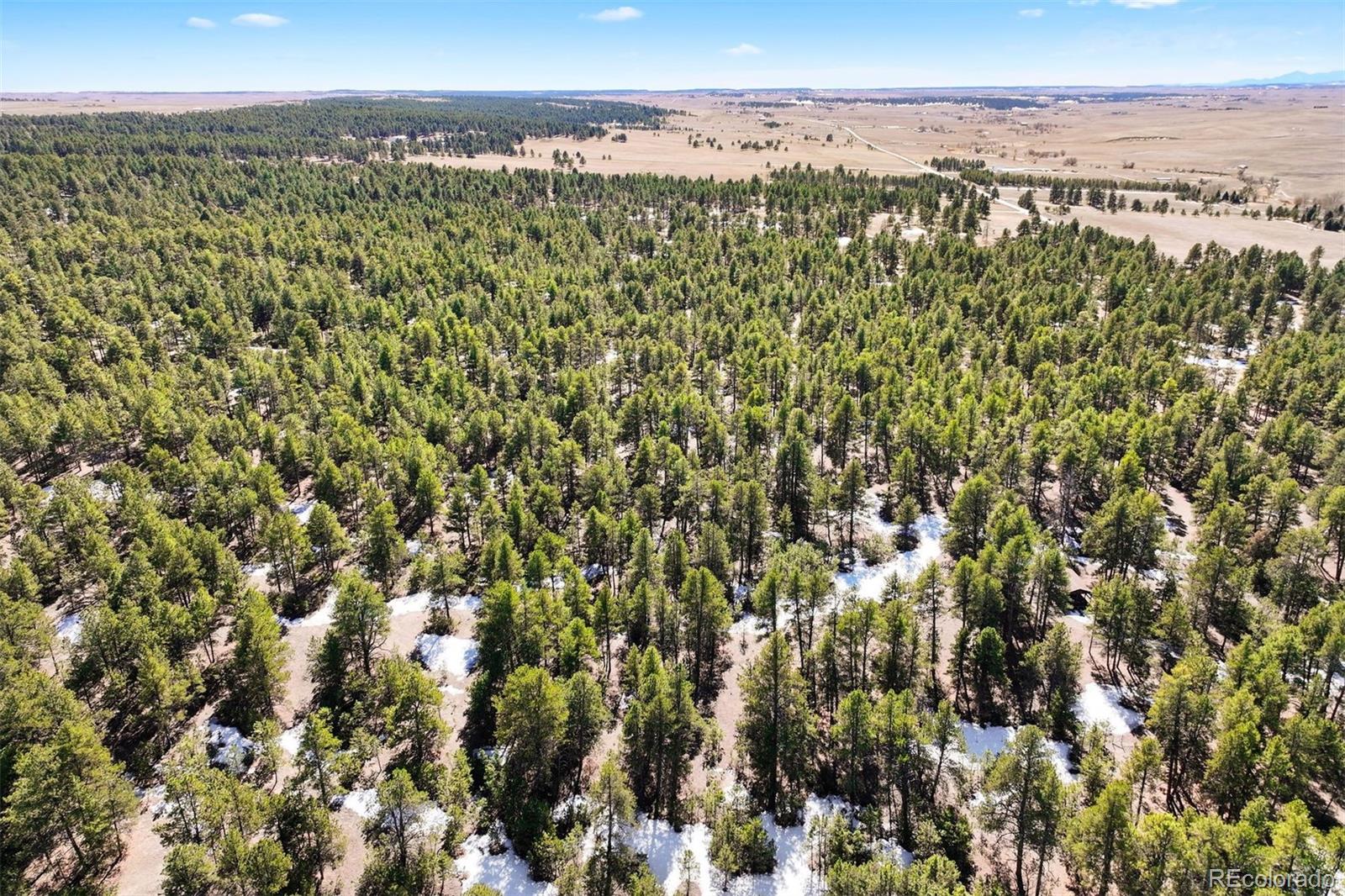 4570 Homestead Circle