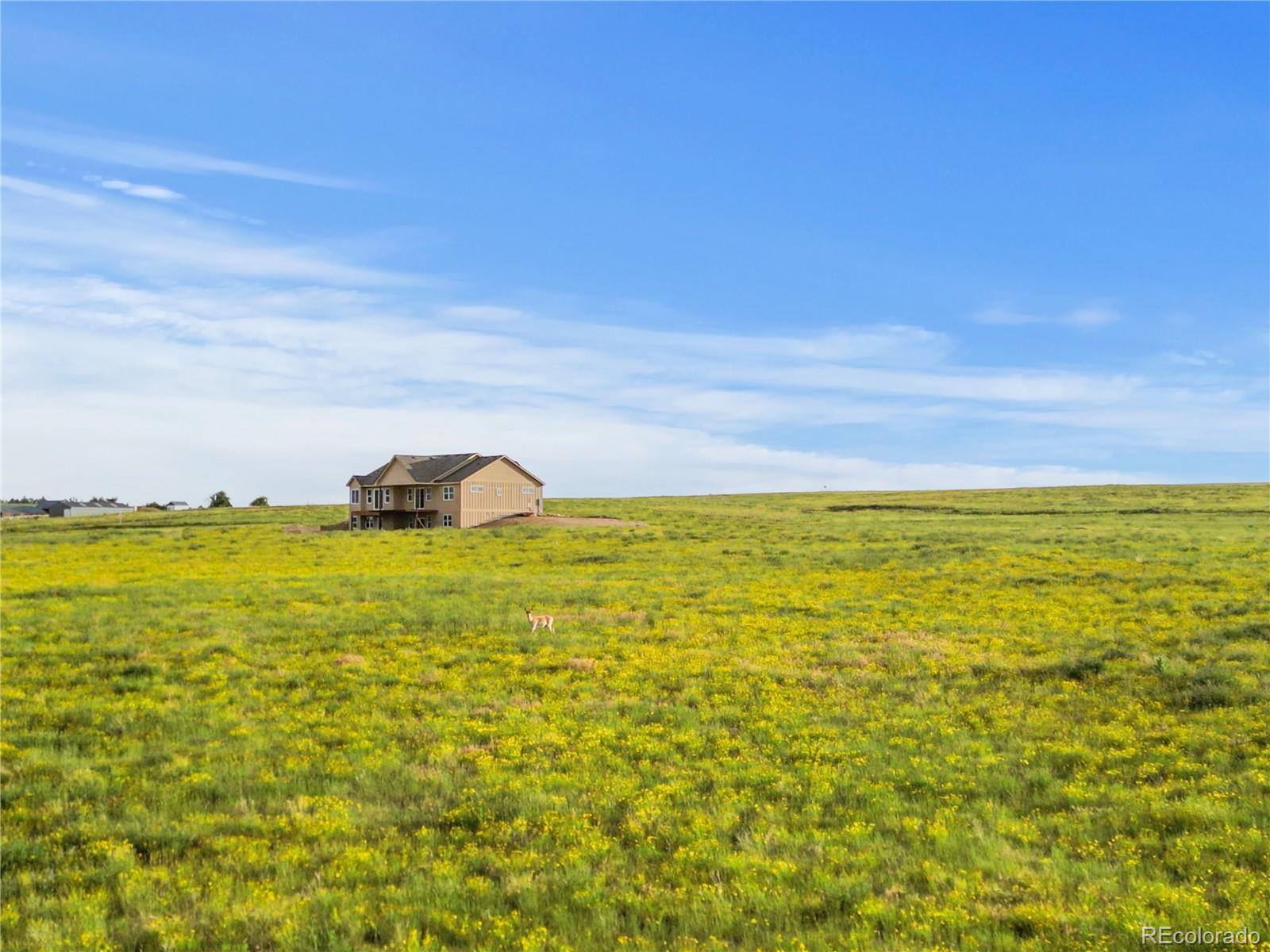 35652 Happiness Trail