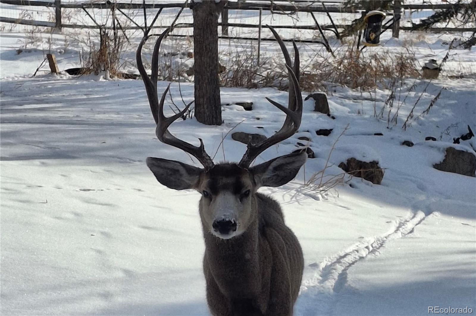 25956 E Jamison Circle S