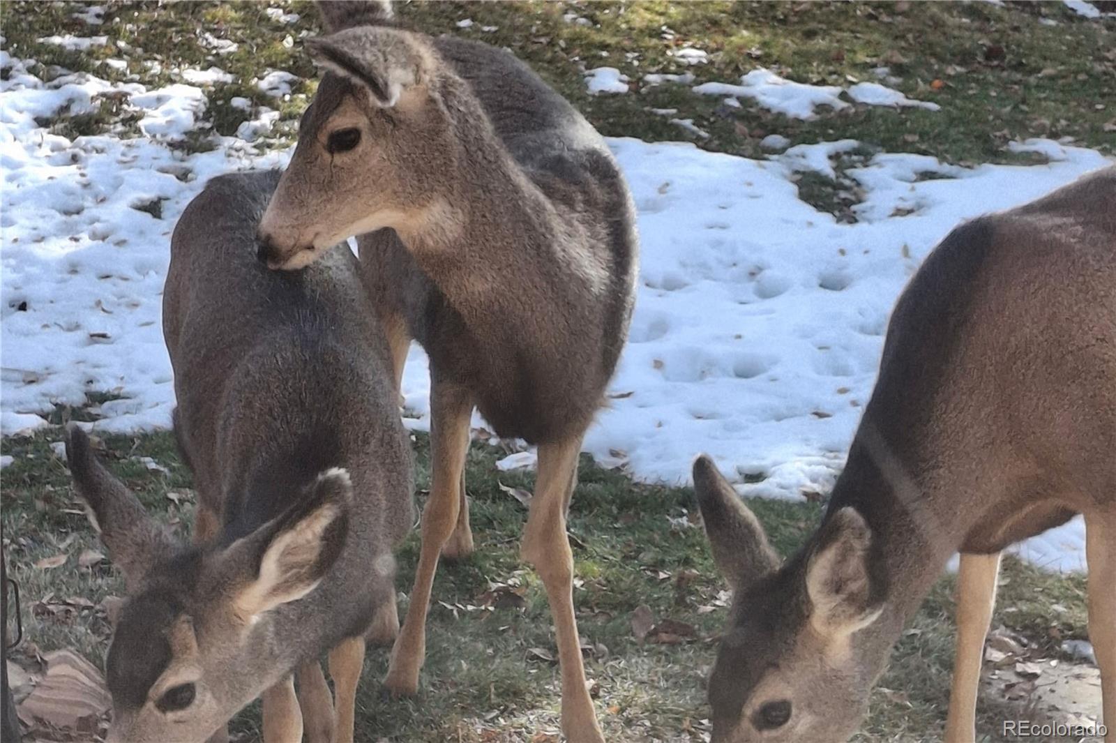 25956 E Jamison Circle S