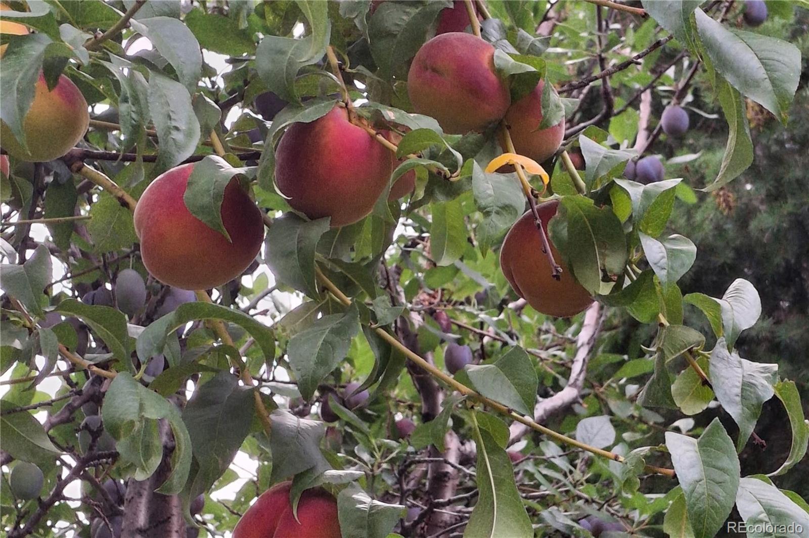 25956 E Jamison Circle S