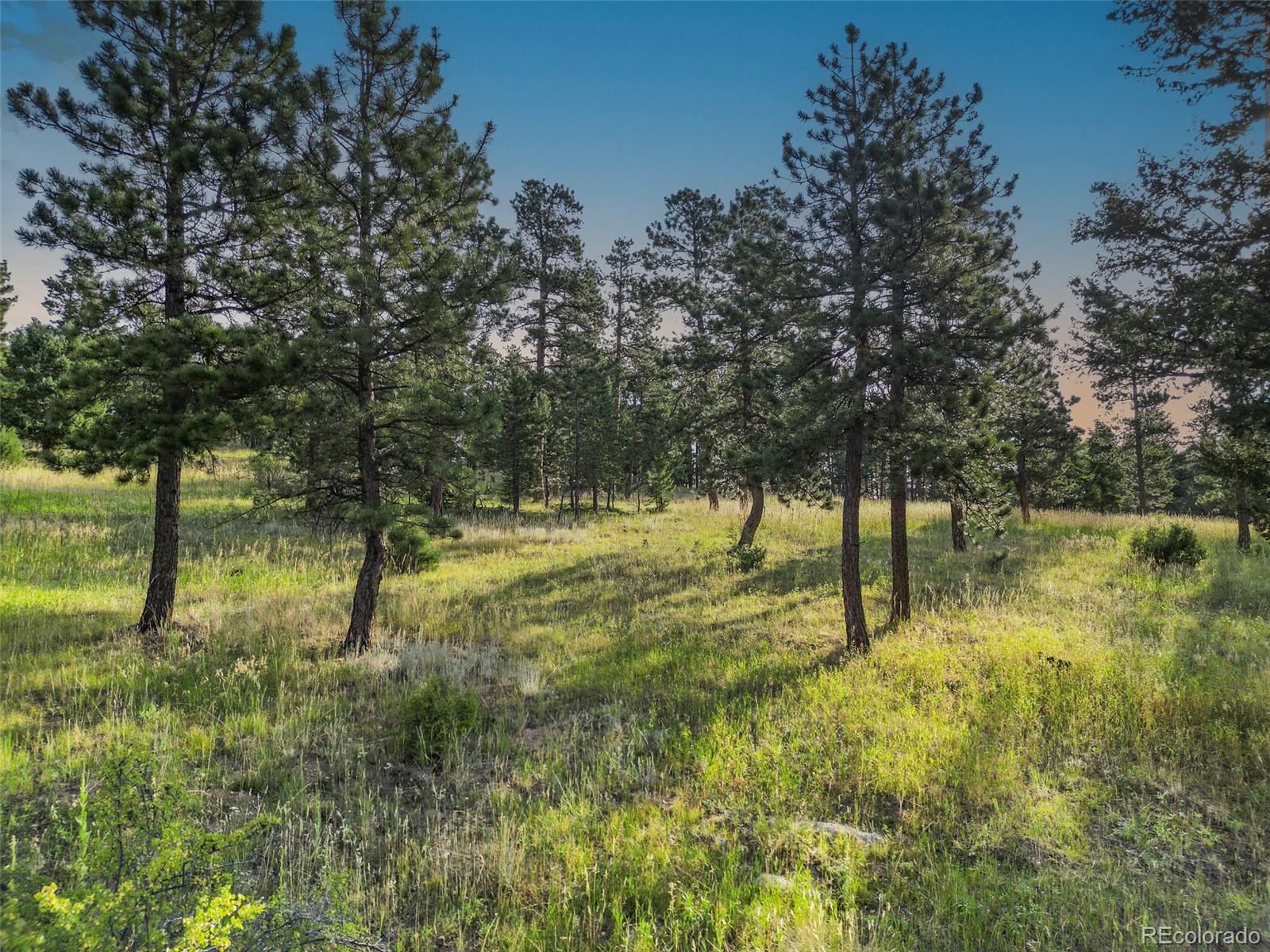26543 Richmond Hill Road