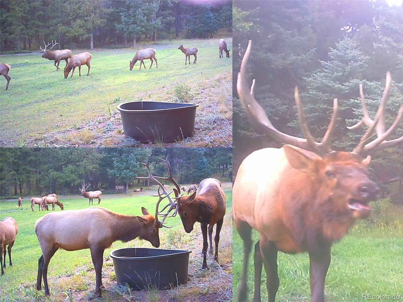 26271 Richmond Hill Road