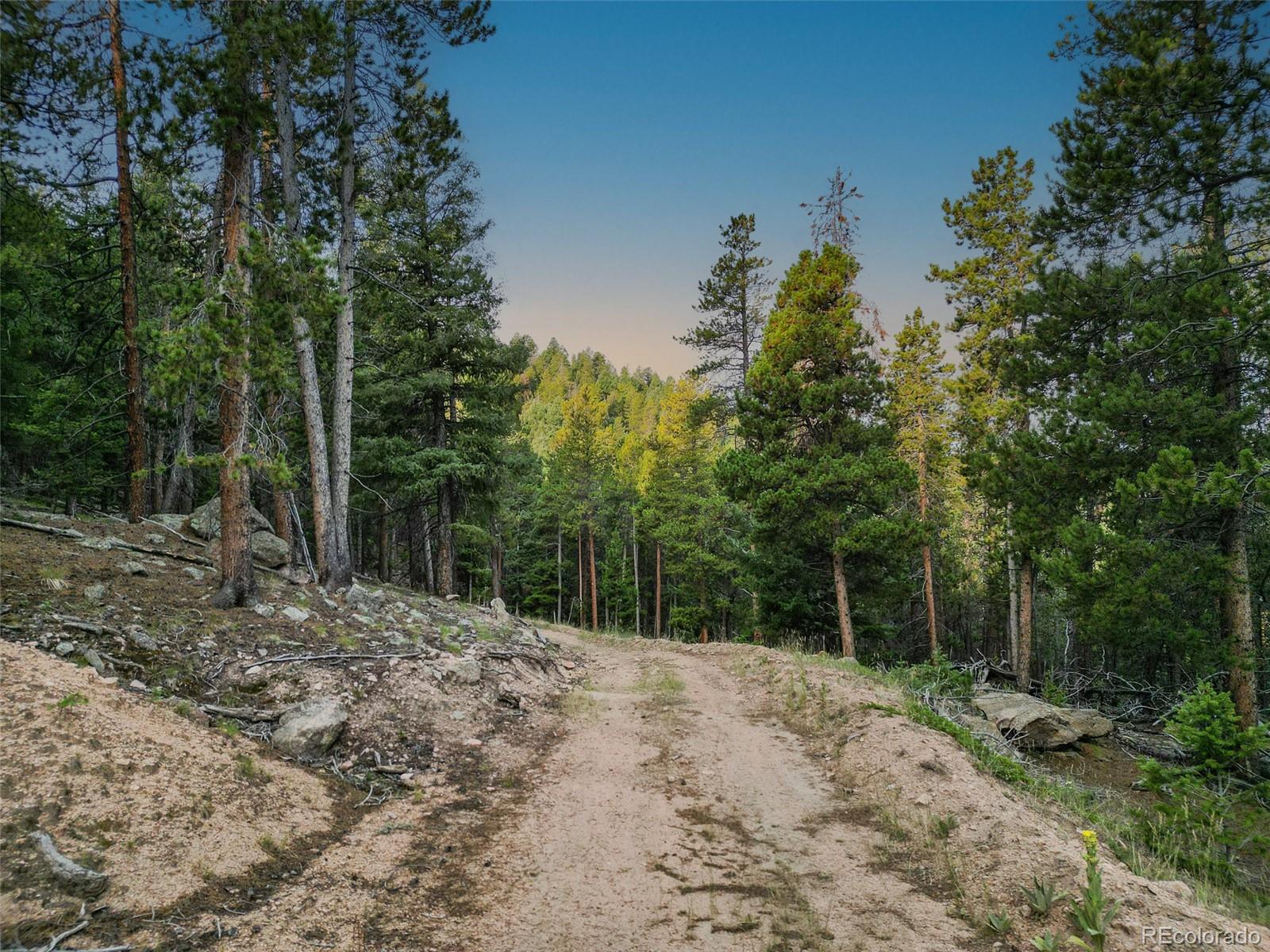 26271 Richmond Hill Road