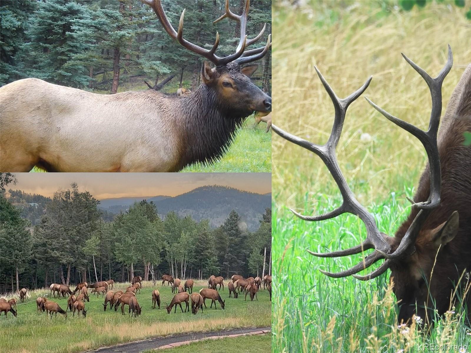 26271 Richmond Hill Road