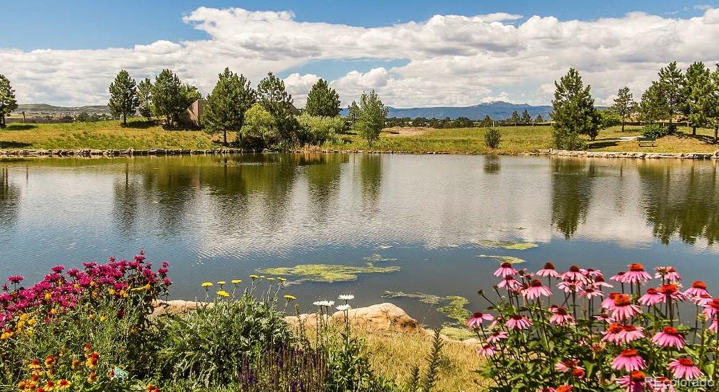 8023 Trinity Peak Lane