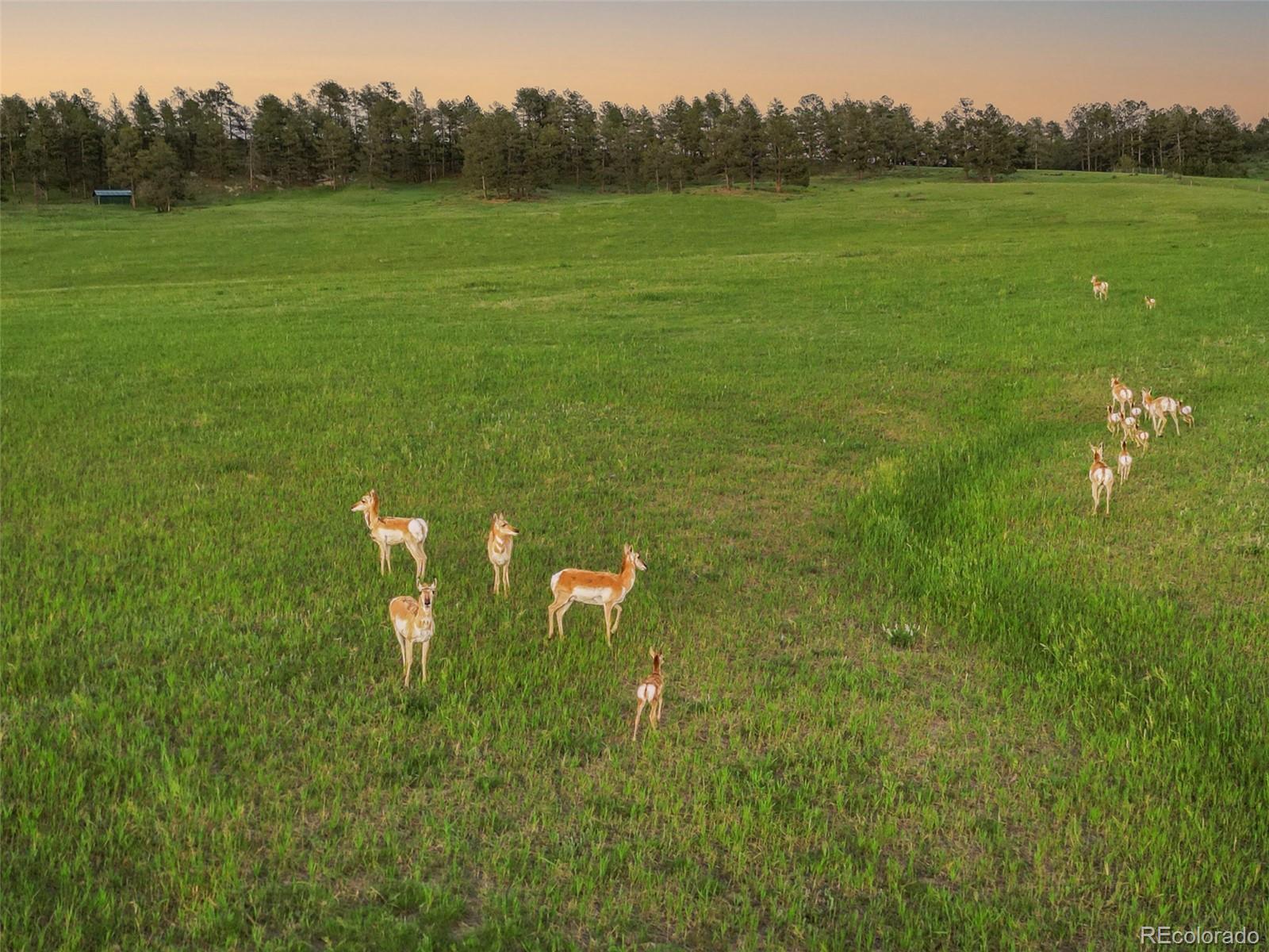 1752 Private Road 130