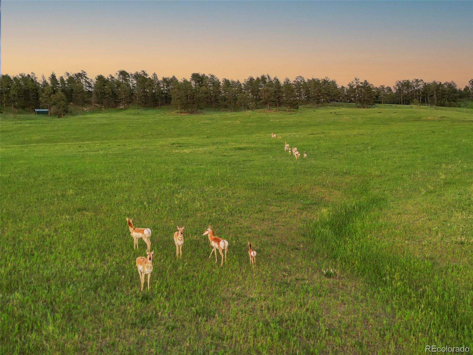 1752 Private Road 130