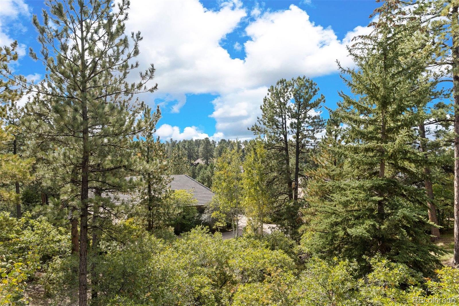 4506 Silver Wing Court