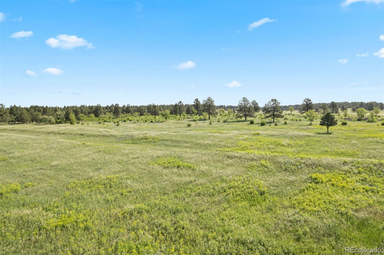 4625 County Road 124