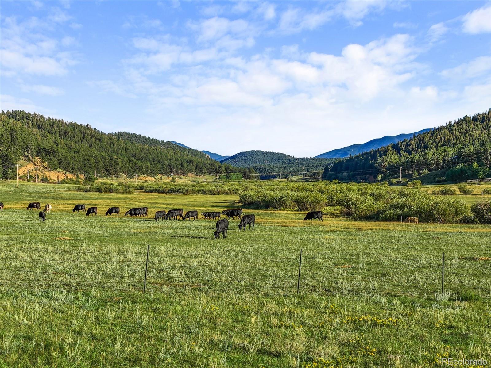 3763 County Road 43