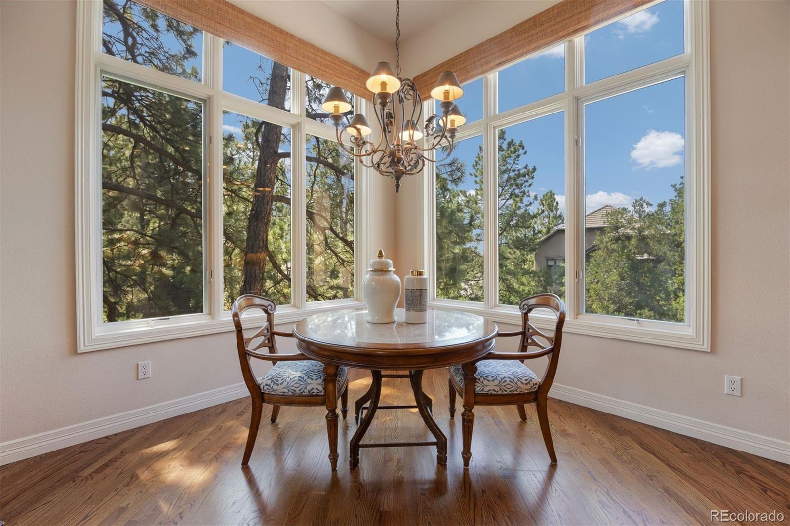 4515 Silver Cliff Court