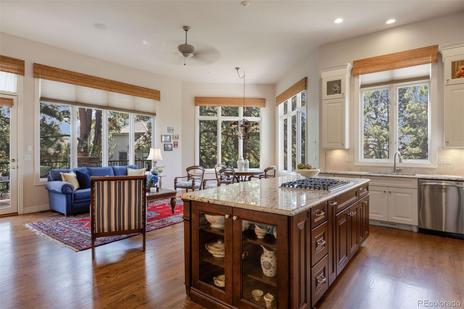 4515 Silver Cliff Court