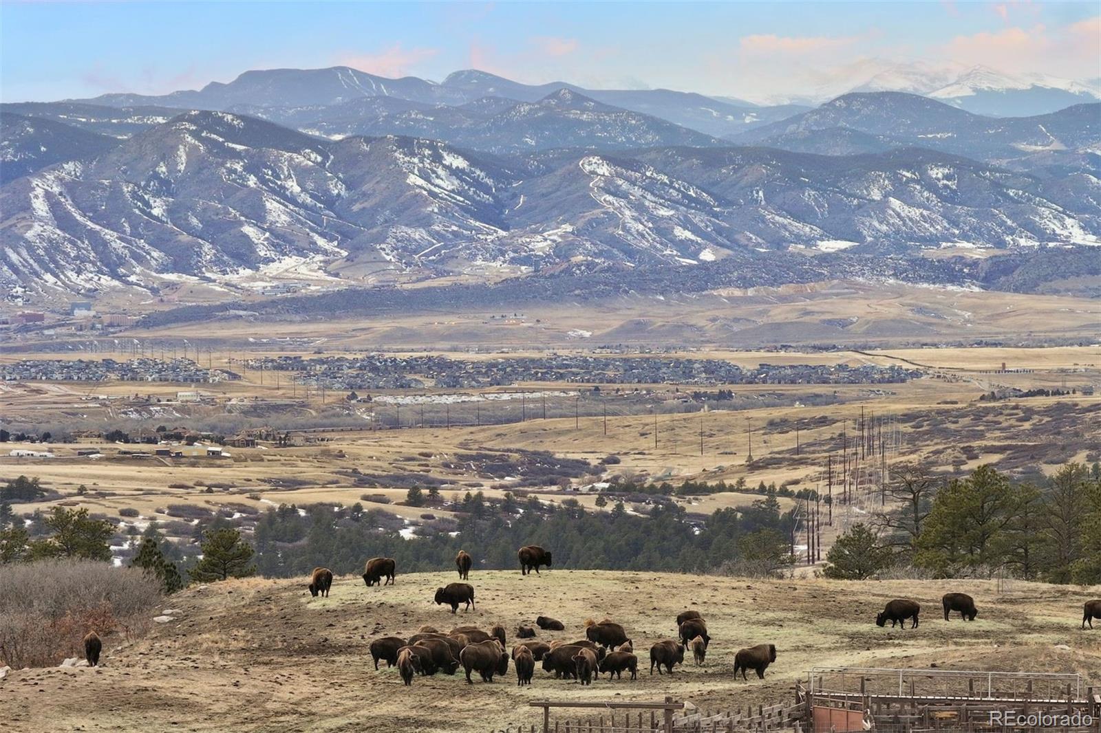 6805 Twisted Oak Drive