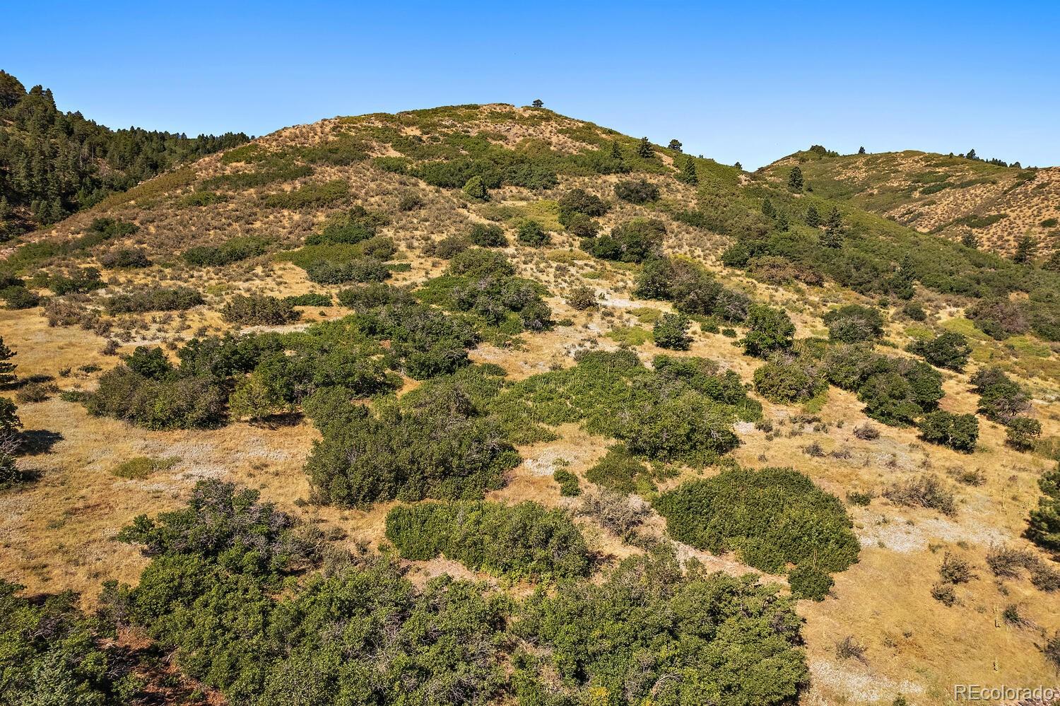 10987 Roxborough Drive