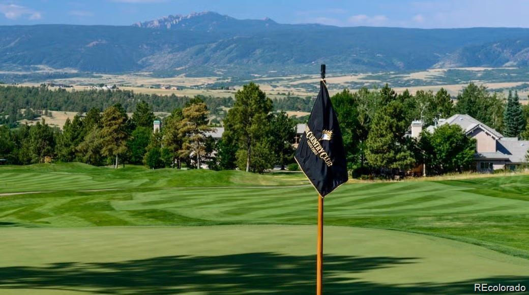 8016 Parnassus Place