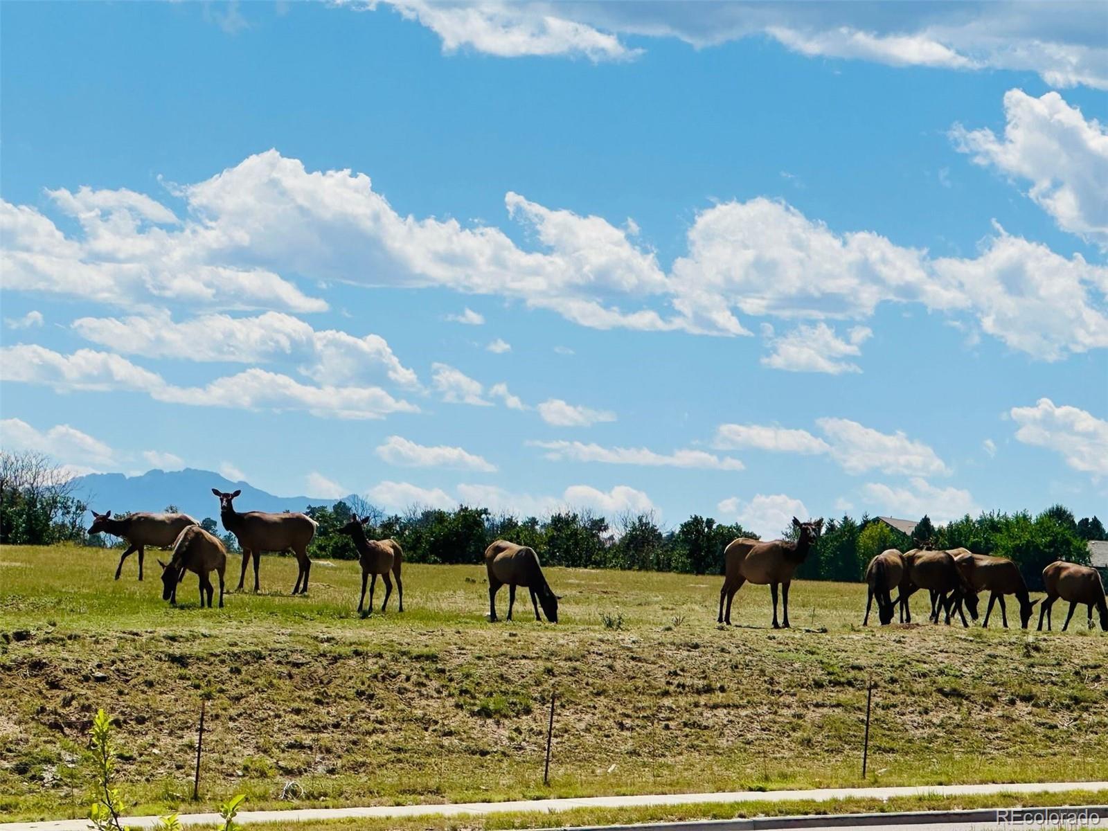 6346 Rockingham Court