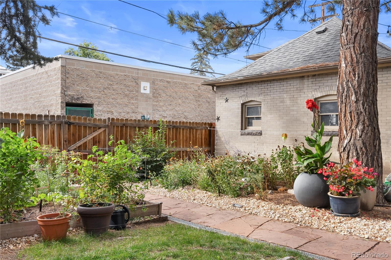 1437 Columbine Street