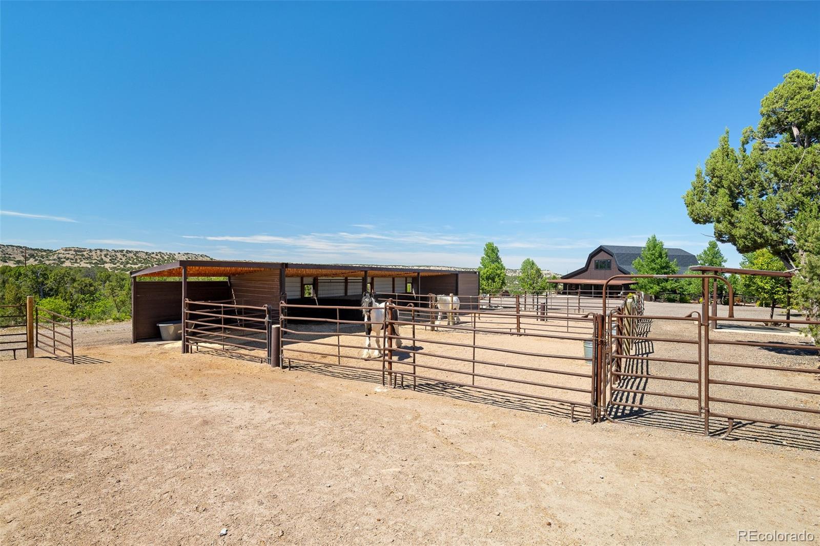 7445 Pinon Heights