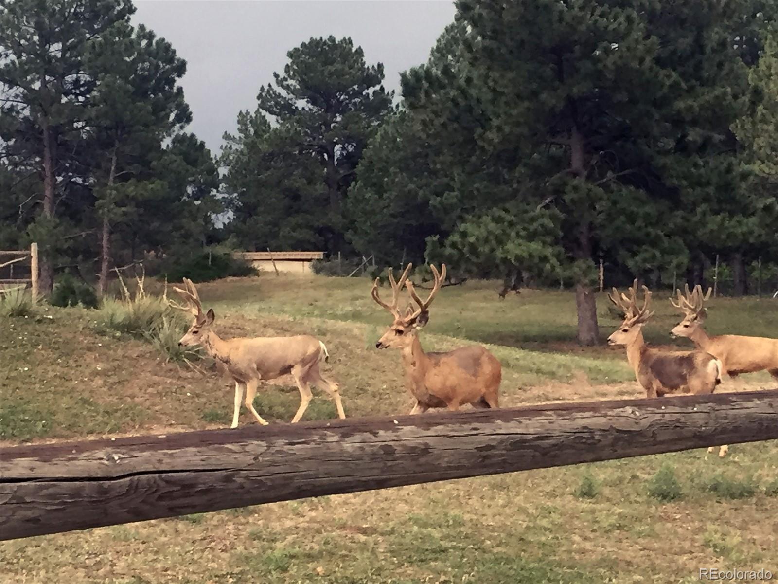 7076 Inspiration Drive