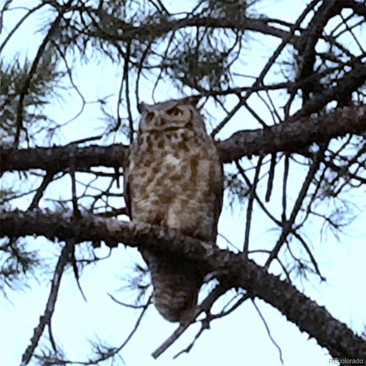 7076 Inspiration Drive