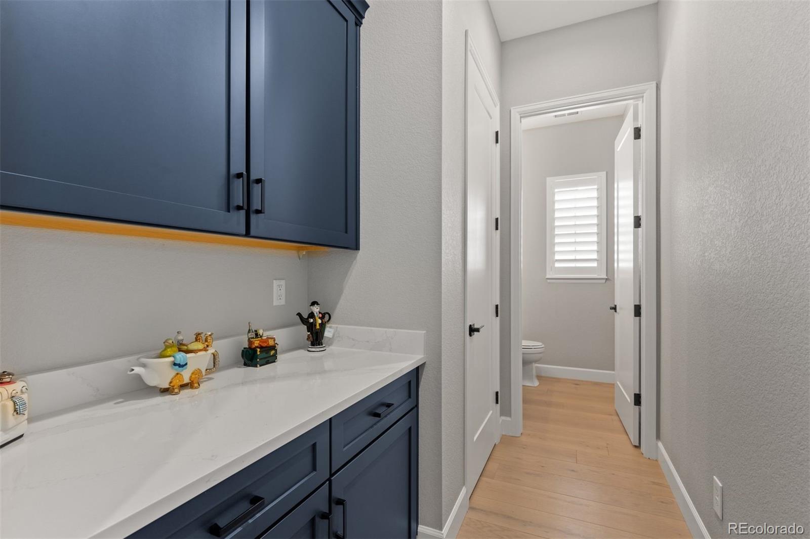 1010 Melting Snow Way