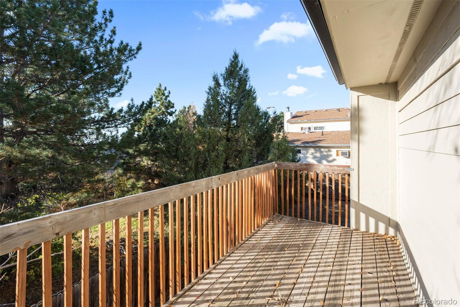 993 Pleasant View Street