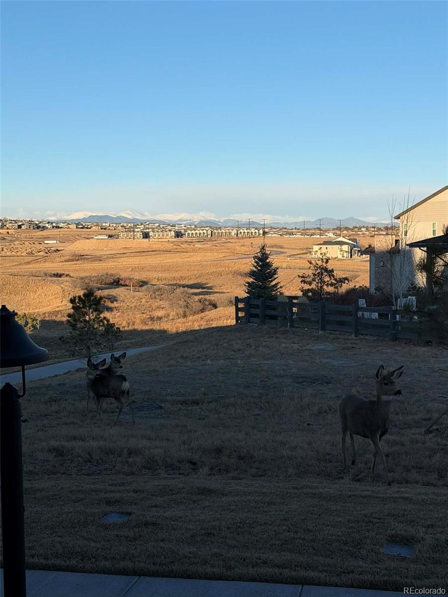 6239 Stable View Street