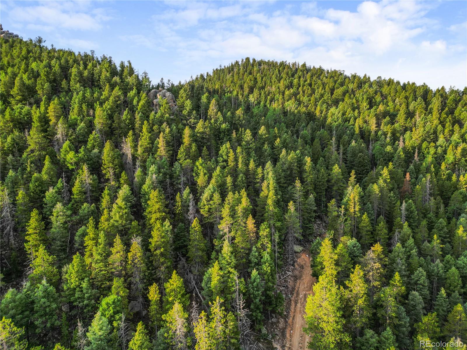 26273 Richmond Hill Road