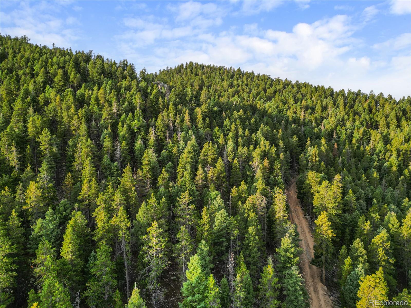 26273 Richmond Hill Road