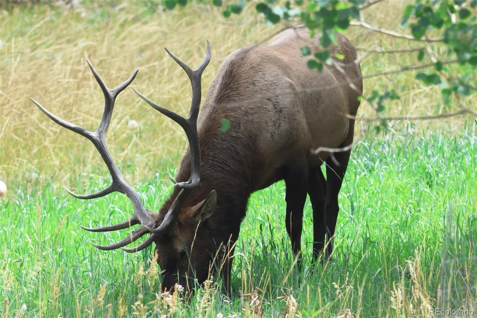 26273 Richmond Hill Road