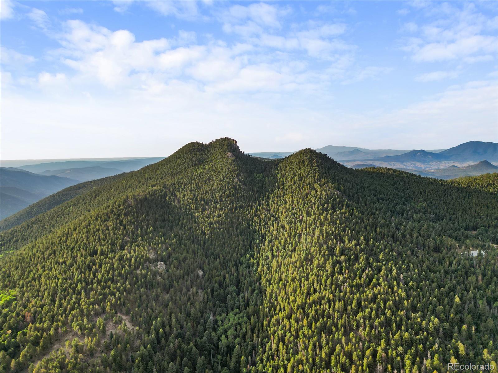 26273 Richmond Hill Road