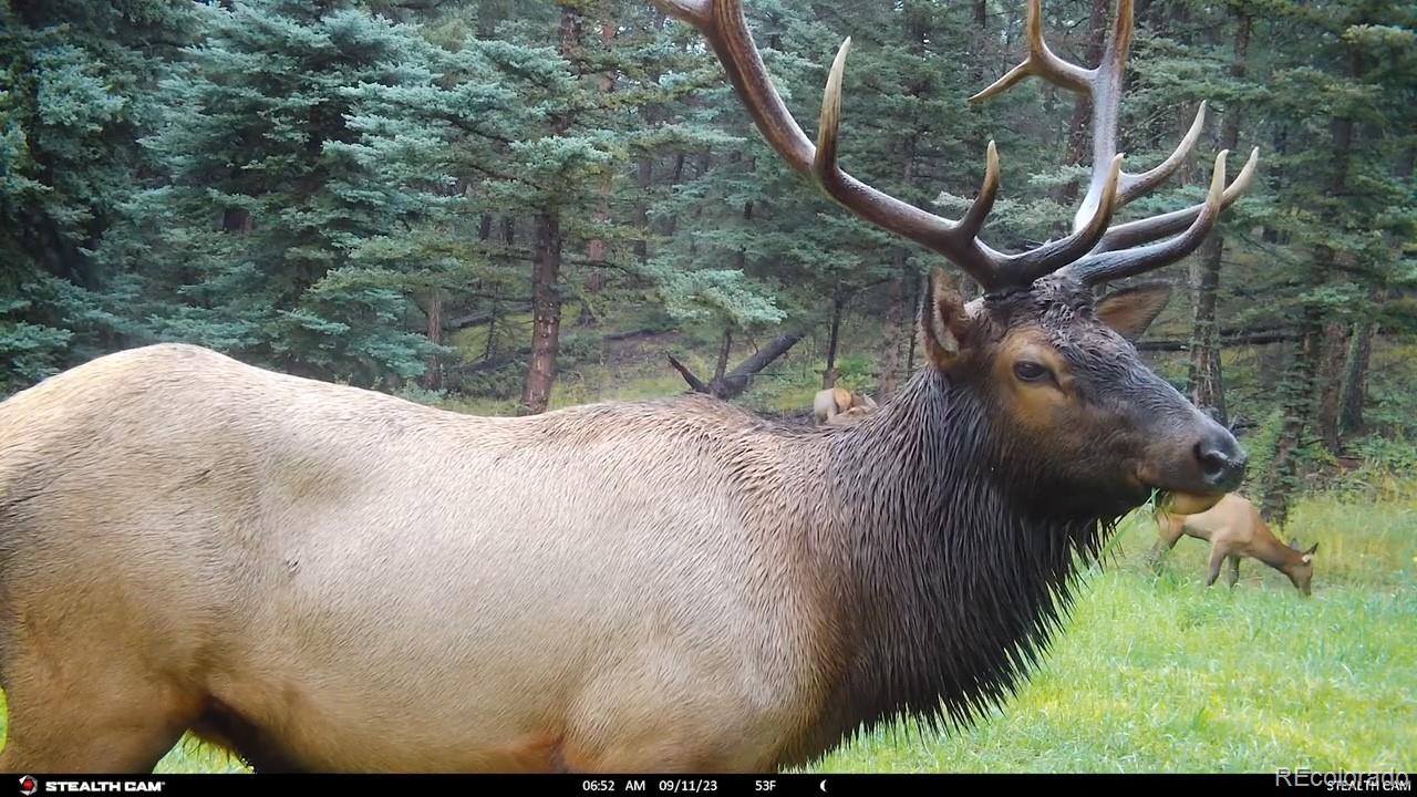 26273 Richmond Hill Road