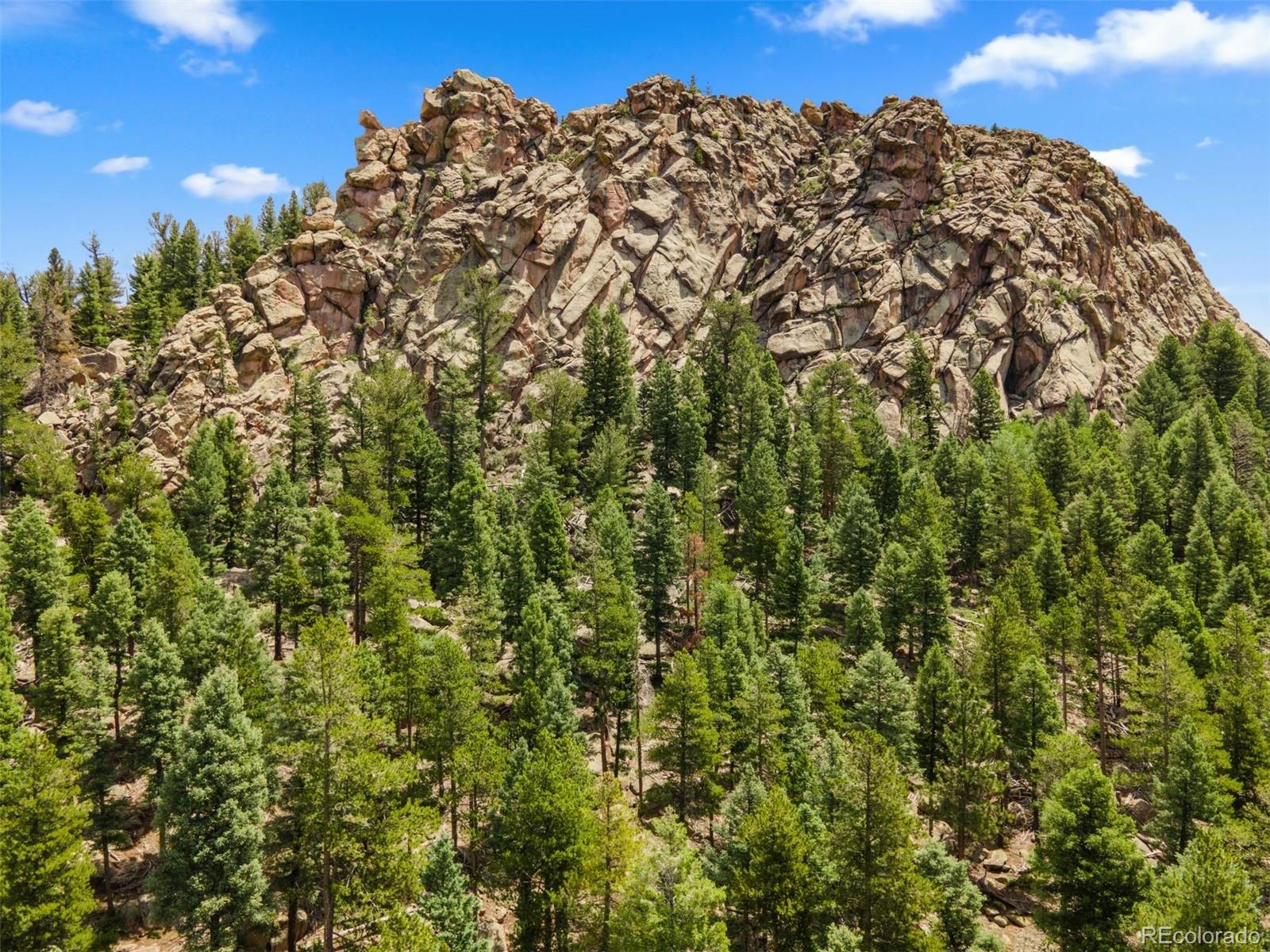 26273 Richmond Hill Road