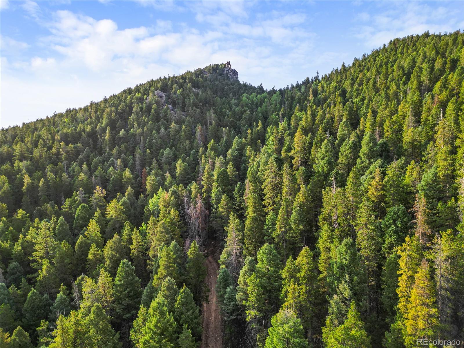 26273 Richmond Hill Road