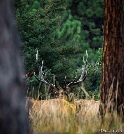 26273 Richmond Hill Road