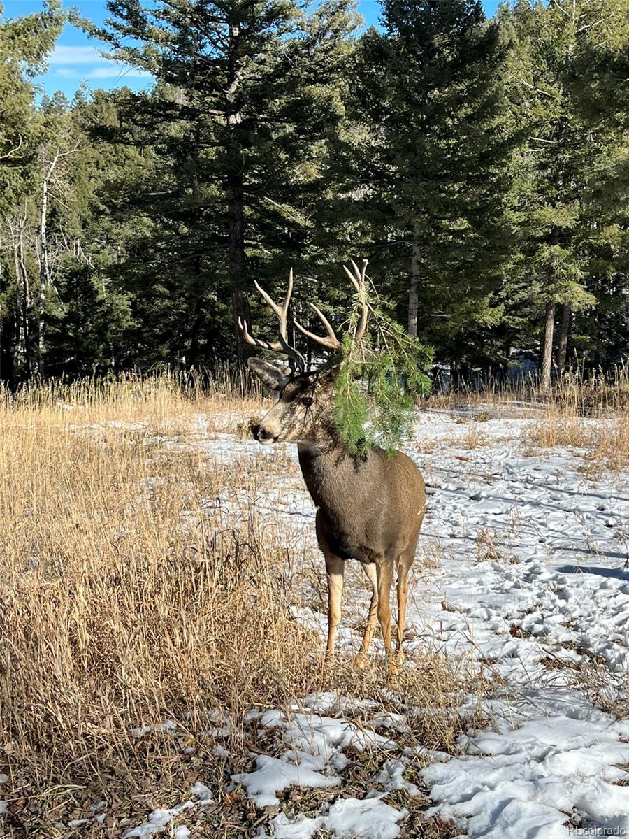 26273 Richmond Hill Road