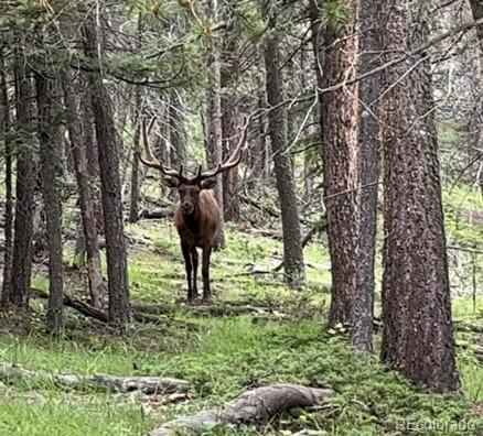 26273 Richmond Hill Road