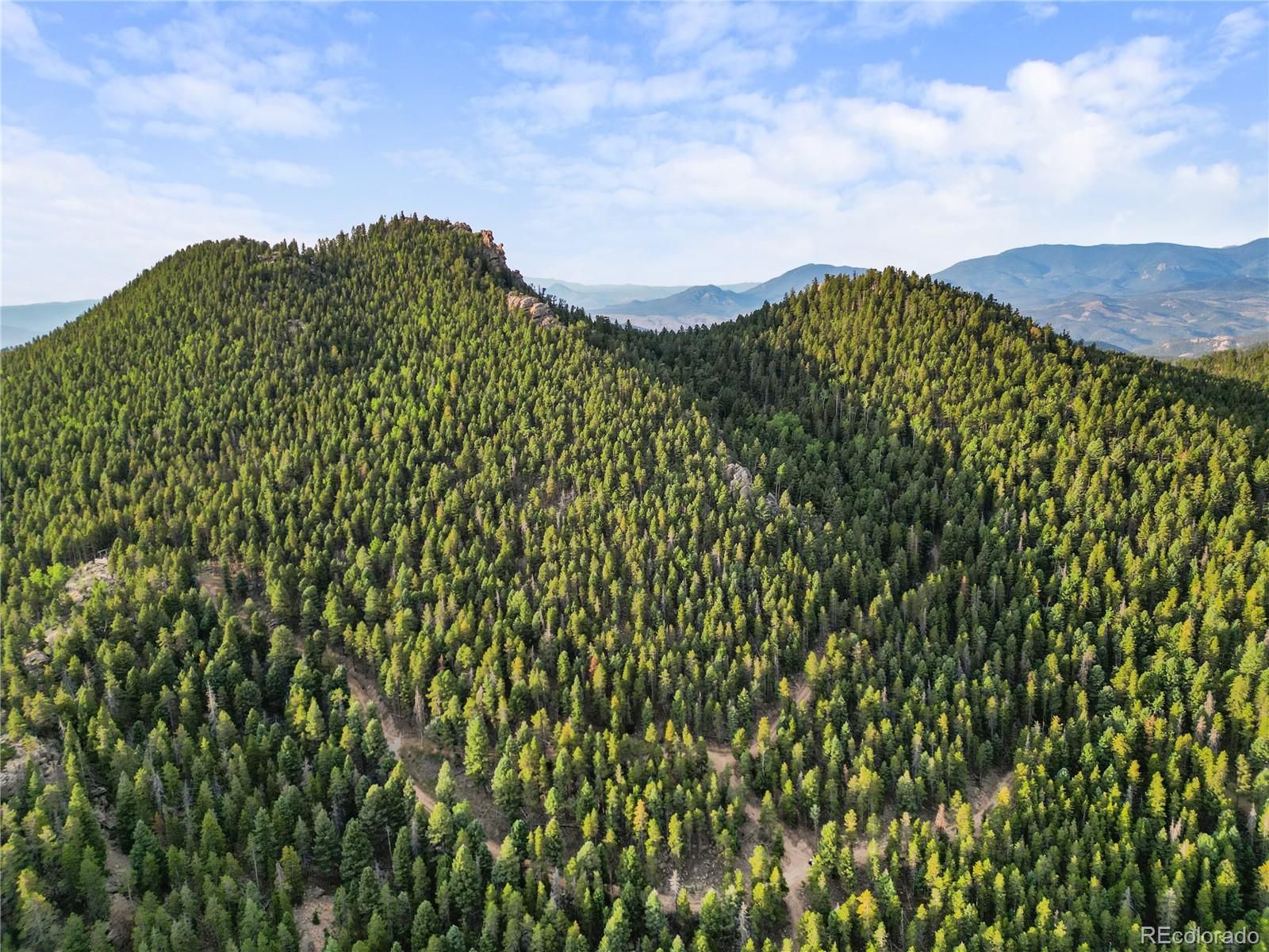 26273 Richmond Hill Road