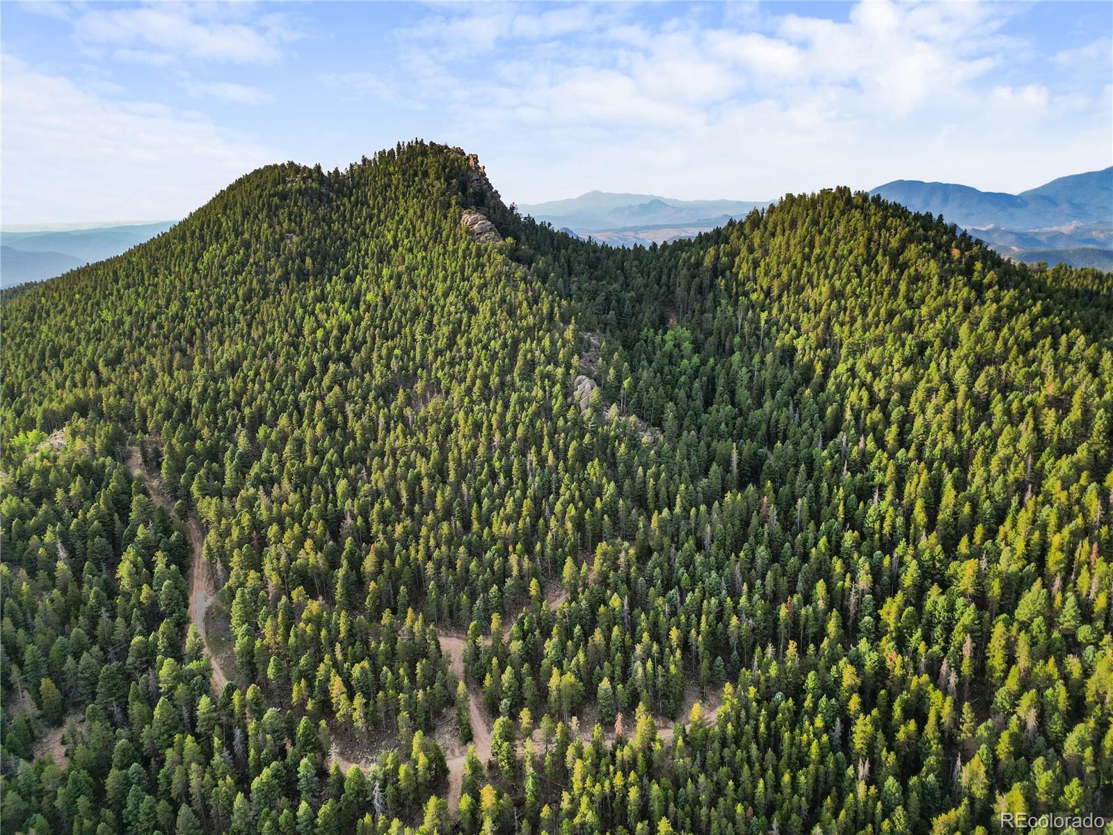 26273 Richmond Hill Road