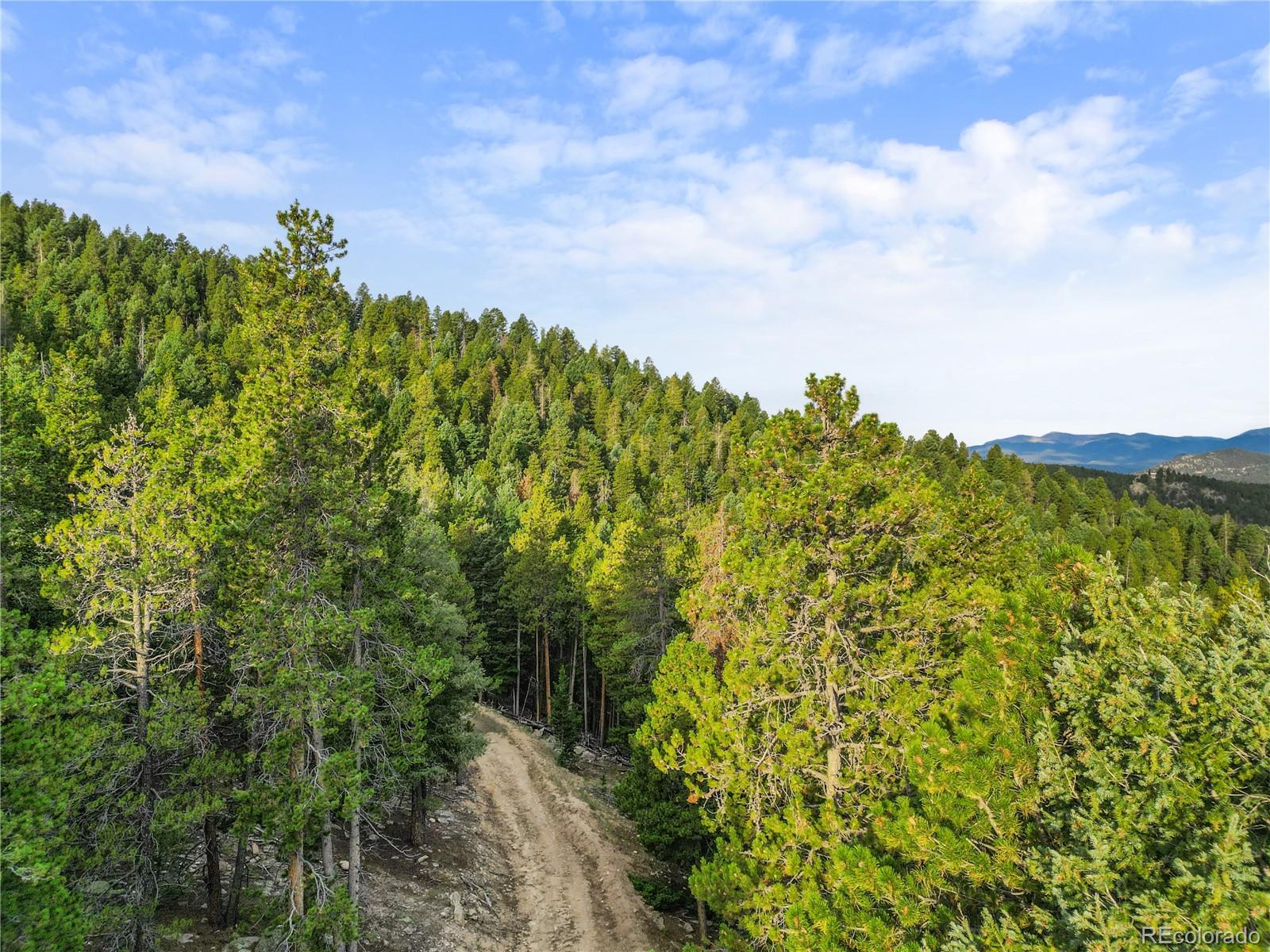 26273 Richmond Hill Road