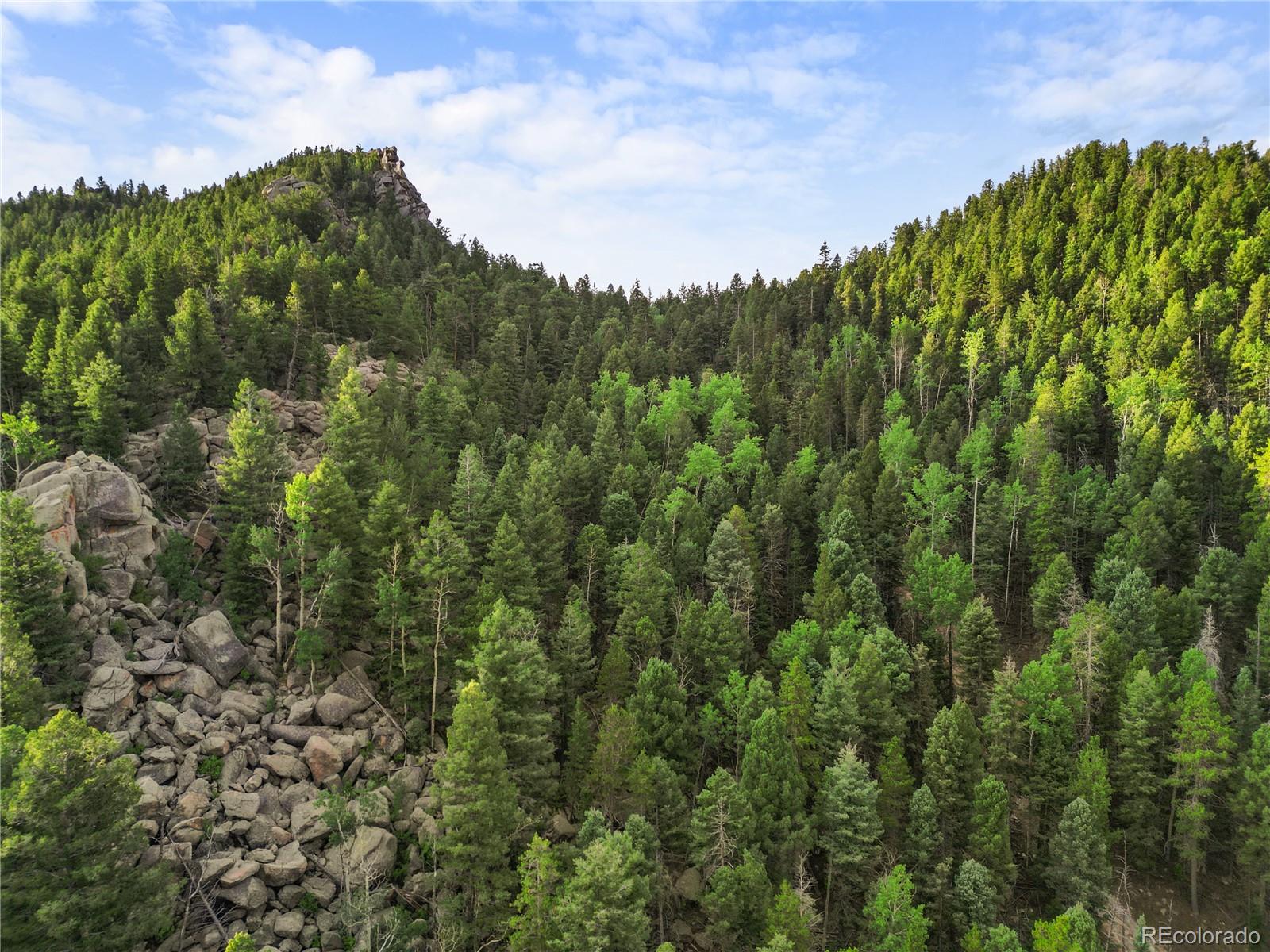 26273 Richmond Hill Road