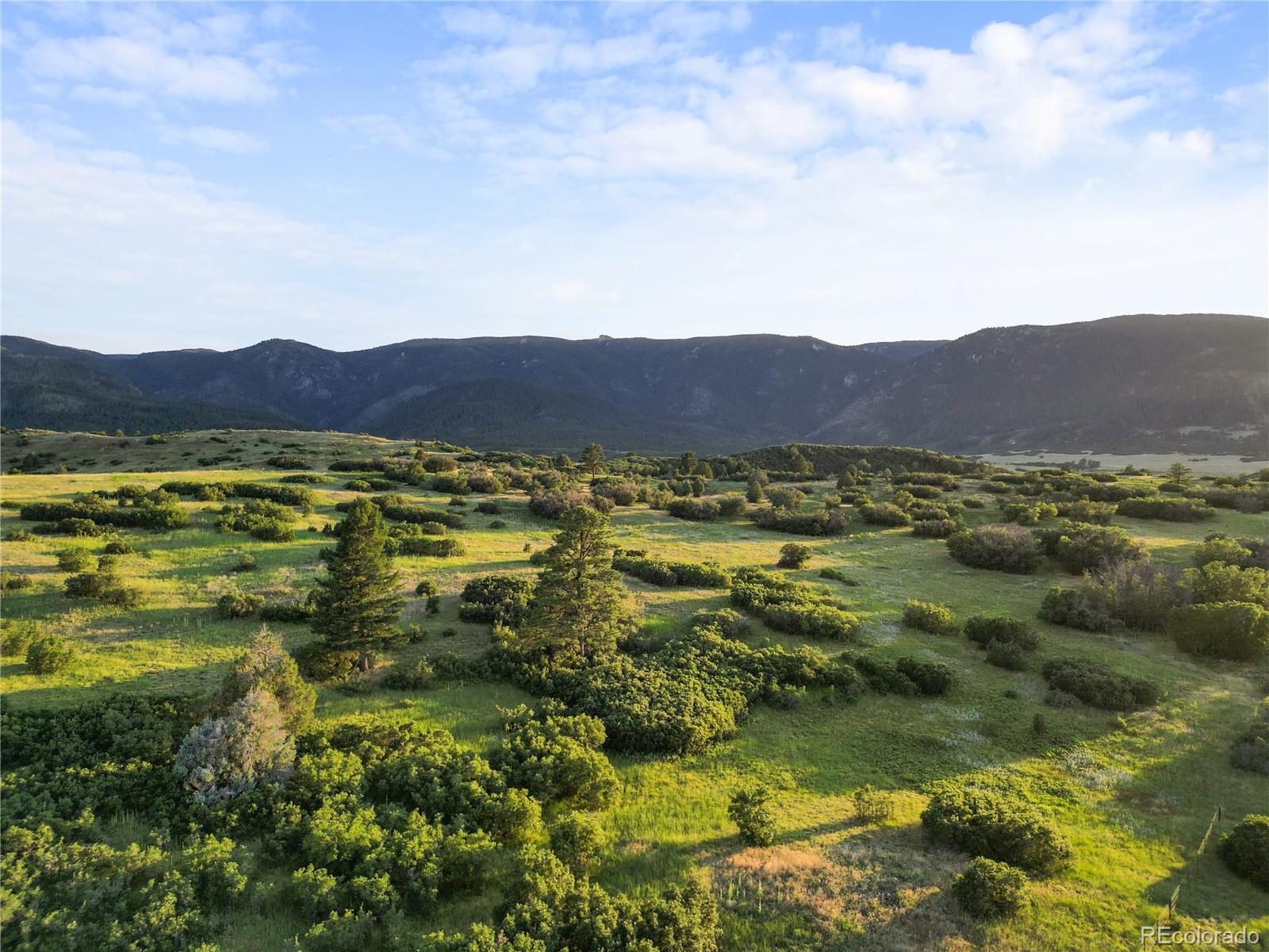 8821 S Perry Park Road